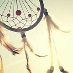 Haven Nikolaus Profile Picture