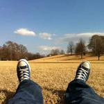 Oswaldo Hintz Profile Picture