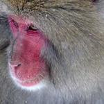 Corrine Leuschke Profile Picture