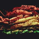 Dahlia Champlin Profile Picture