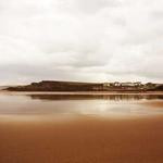 Wilfrid DuBuque Profile Picture