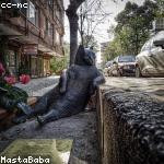 Marcelino Schaefer Profile Picture